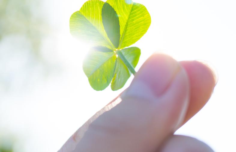 Person holding a four-leaf clover