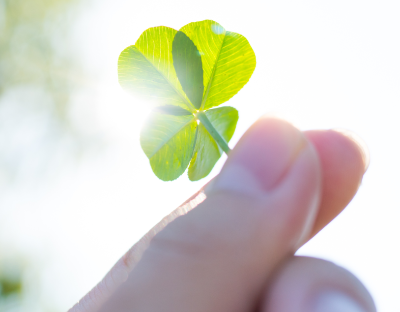 Person holding a four-leaf clover